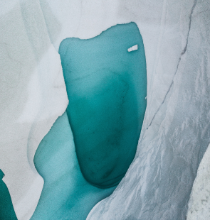 Close up of an iced landscape.